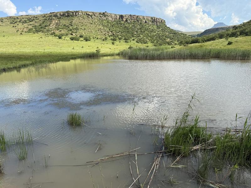 0 Bedroom Property for Sale in Harrismith Free State